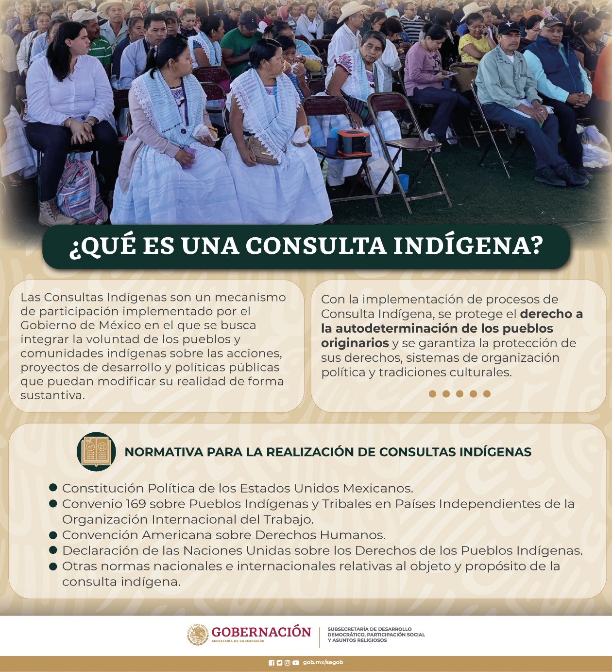 ¿Qué es una Consulta Indígena?